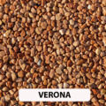 VERONA