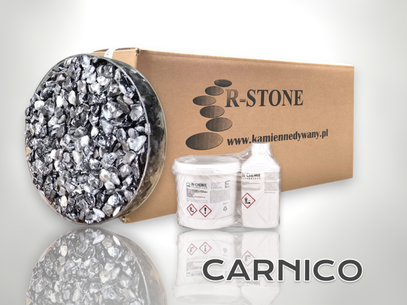 CARNICO PION